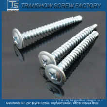 Zinc Plated Philips Truss Head Self Drilling Screws